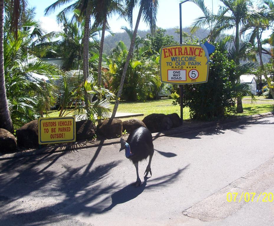 Flying Fish Point Tourist Park Ξενοδοχείο Innisfail Εξωτερικό φωτογραφία